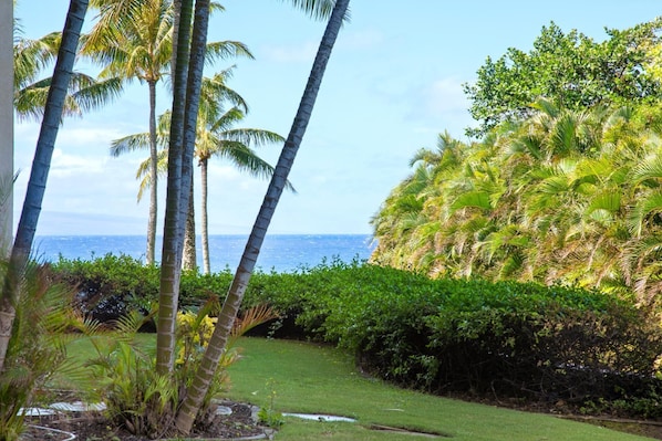 Hale Mala-At-Montage-Kapalua-Bay Wake up to a living painting: a canopy of palms, sapphire seas, and soft coastal winds brushing your soul clean