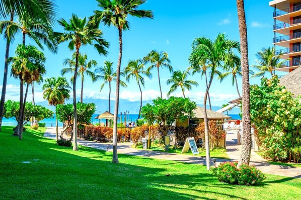 KS-155 Wake up to the sound of the sea and a view that never grows old. Paradise is just outside your window.