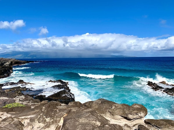 KBV-14G4 Wake to coastal calm, explore lush trails, and unwind by the waves?paradise from every angle