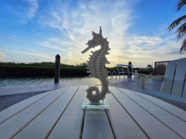 Dreaming of Seahorse Landing