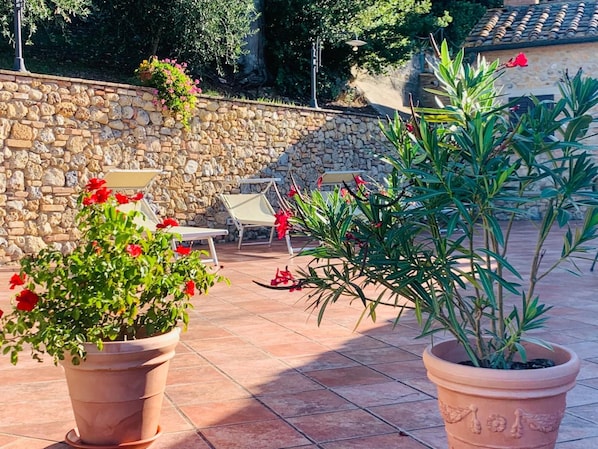 Terrace/patio