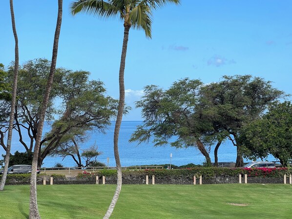 Ocean View from Lanai