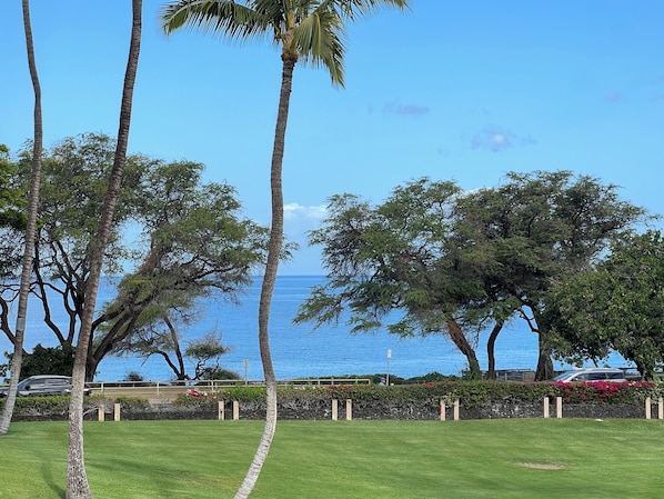 Ocean View from Lanai