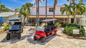TWO 6-person golf carts with booking