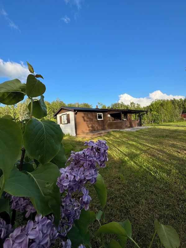 Detalj exteriör