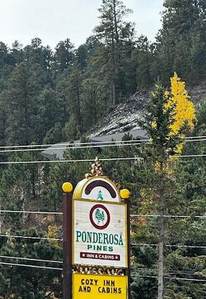 Detalj exteriör