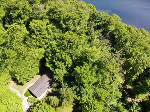 Natural Environment, Vegetation, Landscape, Bird'S-Eye View, Forest, Aerial Photography, Jungle, Rainforest, Valdivian Temperate Rain Forest, Plantation