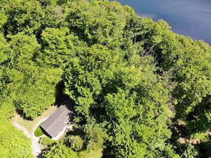 Natural Environment, Vegetation, Landscape, Bird'S-Eye View, Forest, Aerial Photography, Jungle, Rainforest, Valdivian Temperate Rain Forest, Plantation