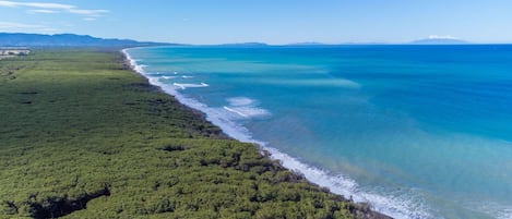 Blue, Daytime, Horizon, Sea, Ocean, Coastal And Oceanic Landforms, Coast, Shore, Beach, Bay