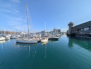 Marina
