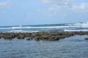 Bathtub Beach reef