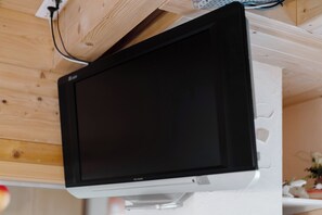 Television