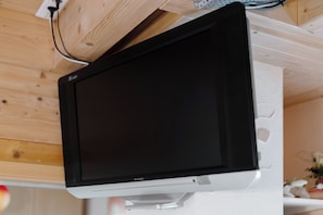 Television