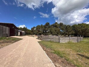Scenery