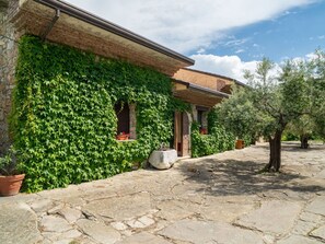 Wall, Shrub, Spring, Shade, Garden