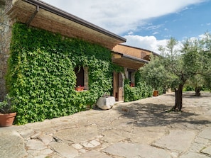 Wall, Shrub, Spring, Shade, Garden