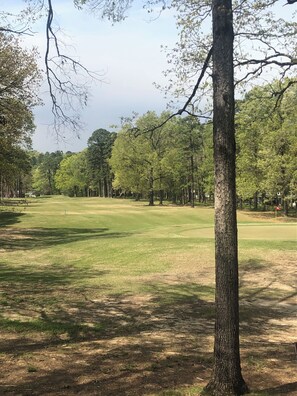 Number 3 Fairway Desoto