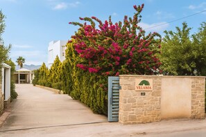 Property Entrance – Peaceful and Welcoming Pathway
Arrive through a charming garden walkway surrounded by blooming bougainvillea and olive trees. A warm welcome to your private island escape.