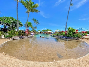 Free membership to Poipu Athletic club!