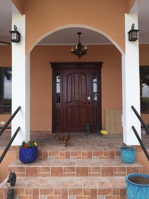 Exterior detail