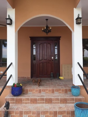 Exterior detail