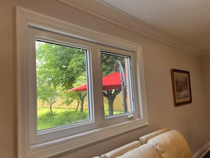 Window faced to backyard