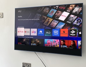 Television