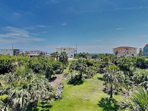 Balcony Views