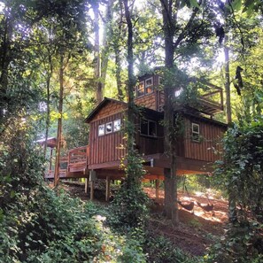 Outside back view (1)