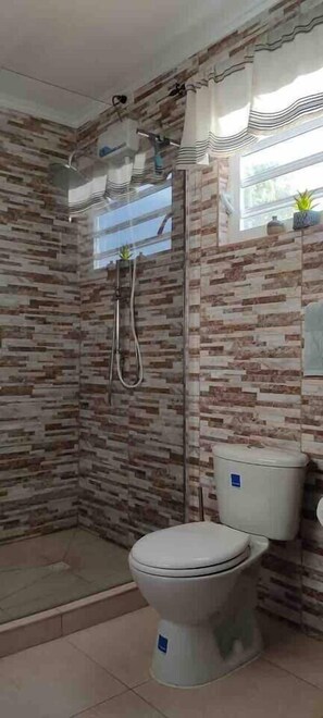 Bathroom Shower area