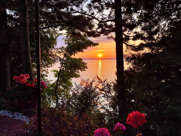 View from property