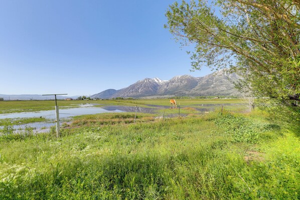 Gardnerville Vacation Rental | 1BR | 1BA | Steps Required | 250 Sq Ft