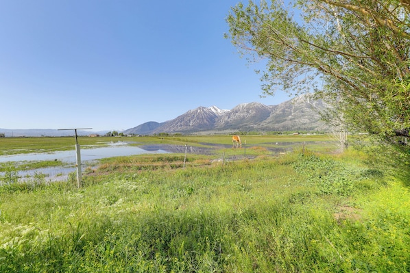 Gardnerville Vacation Rental | 1BR | 1BA | Steps Required | 250 Sq Ft