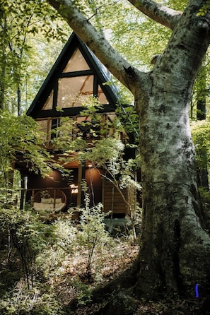 Extérieur