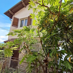 Entrace to the house with iron gate