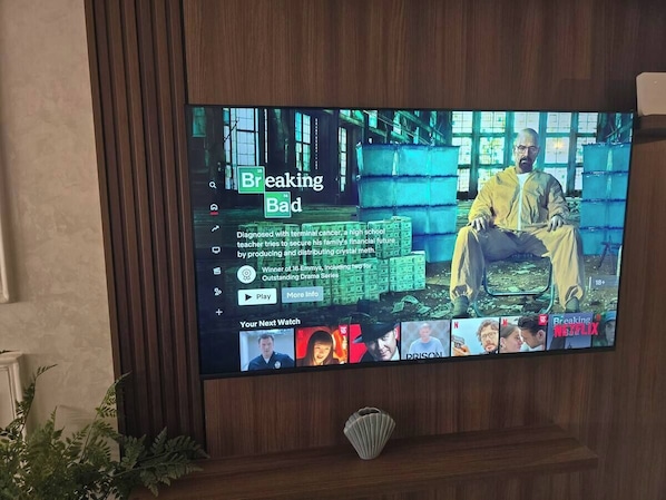 Television
