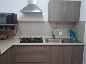Cocina (vista desde la entrada, parilla, lavabo, mueble, campana, microondas)