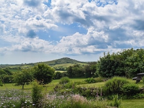 View | The Old Workshop - Tor View Cottage Holidays, Trebell Green, near Bodmin