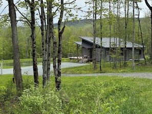 Driveway to the house