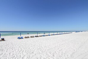 Beach area