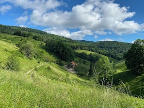 Sekalaista