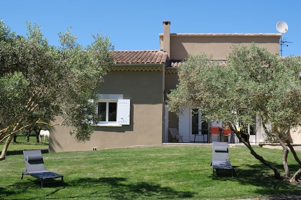 Holidays rental SAINT-RÉMY-DE-PROVENCE house for rent