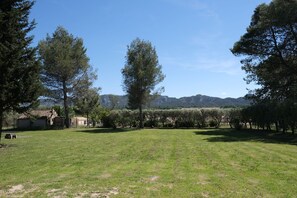 Holiday rental SAINT-RÉMY-DE-PROVENCE house for rent view