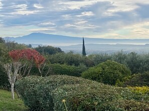 Alpilles mountains and Mont Ventoux views