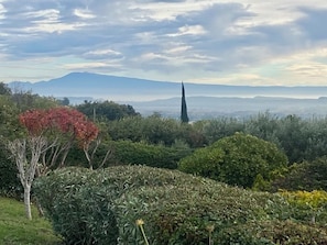 Alpilles mountains and Mont Ventoux views