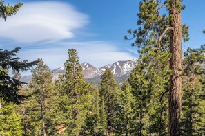 Mountain views