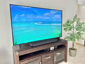 Television