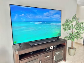Television