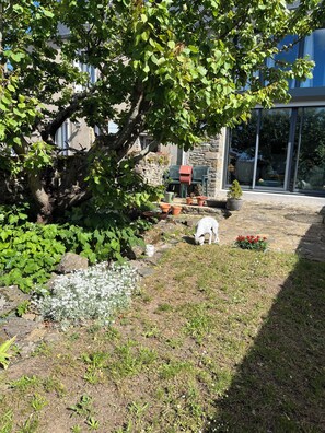 Boendeområde