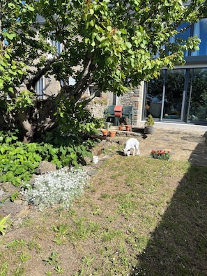 Boendeområde